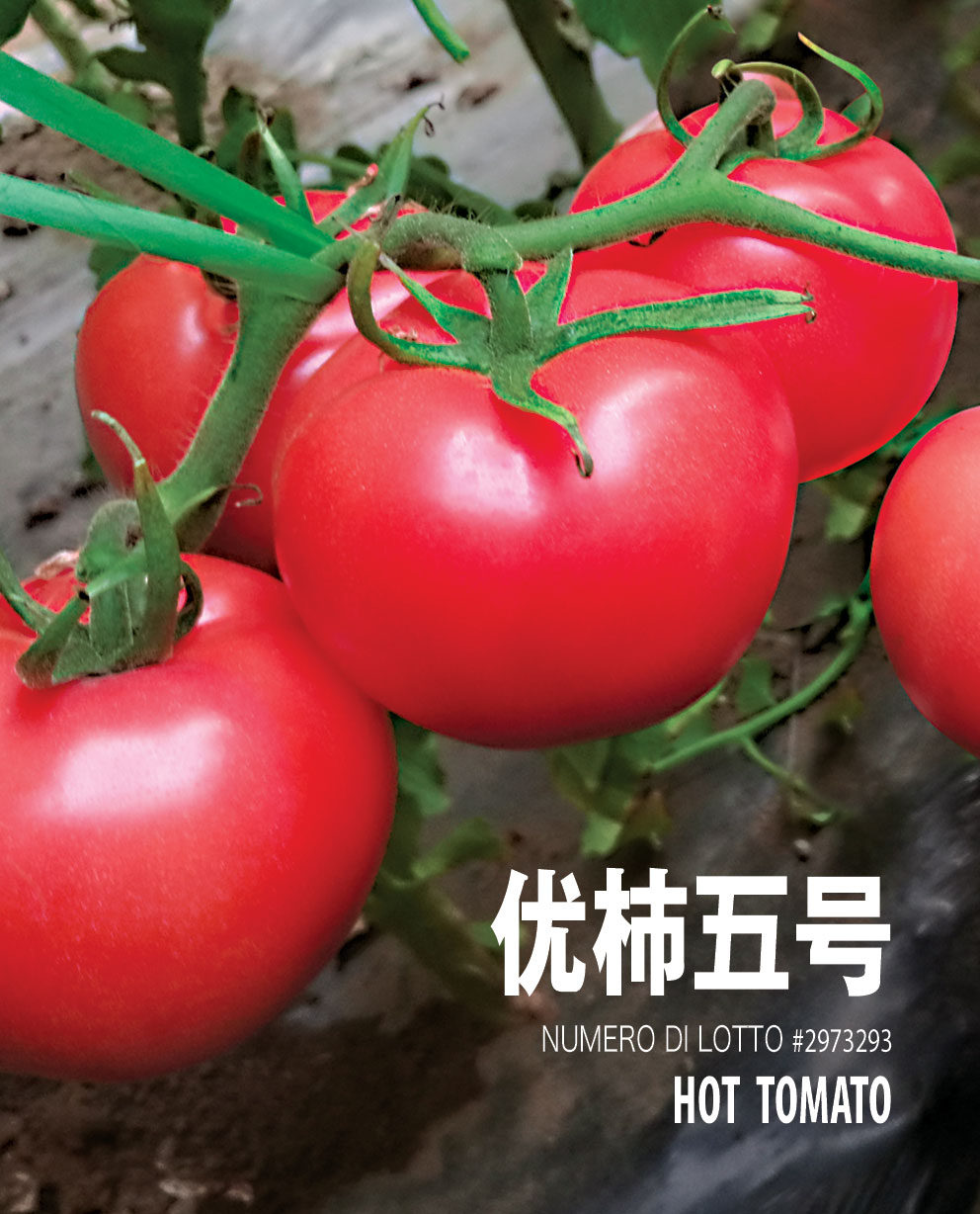 優(yōu)柿五號