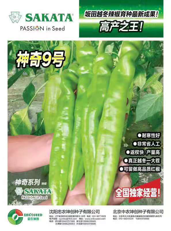 坤創(chuàng)九號(hào)